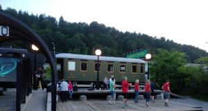 Plesna skupina Linera v akciji